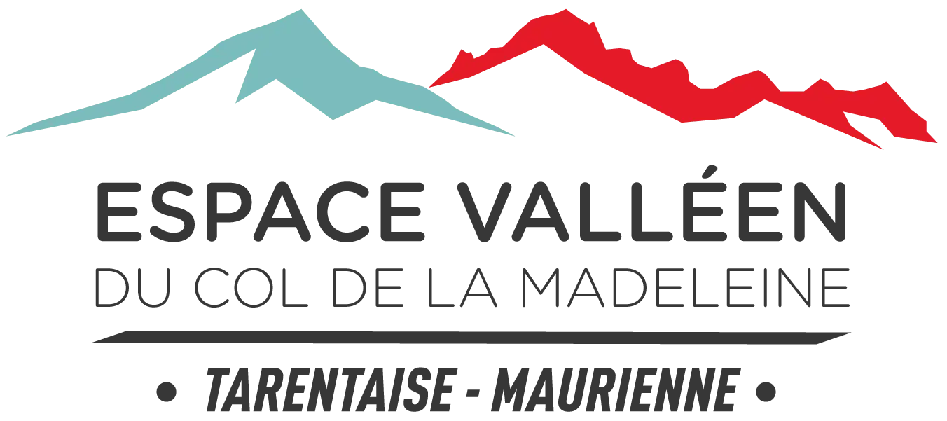 Logo-Espace-Valléen-PNG